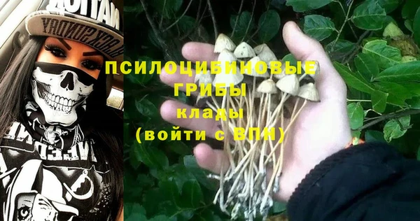кокаин колумбия Алзамай